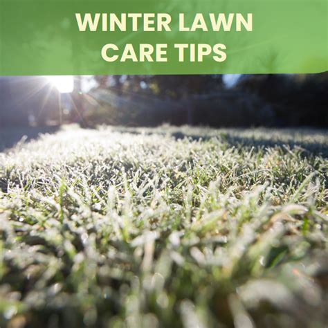 Winter Lawn Fertilization: Beyond the Norm