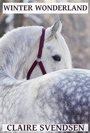 Winter Wonderland Show Jumping Dreams ~ Book 13 Epub