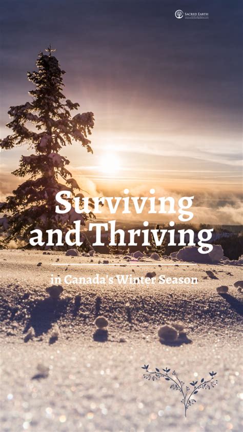 WinterClairee: A Comprehensive Guide to Surviving and Thriving in Winter