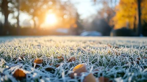 Winterizer Fertilizer: The Essential Guide to a Healthy Lawn in Cold Climates