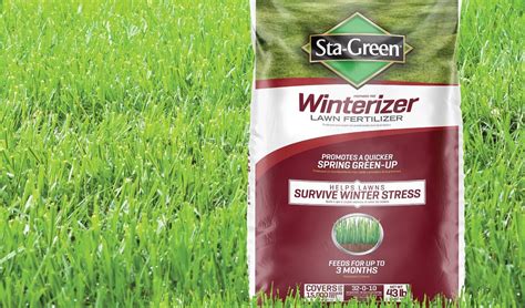 Winterizer Fertilizer: The Ultimate Guide to Winter Turf Protection