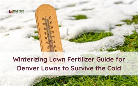 Winterizing Fertilizer for Lawn: 7 FAQs