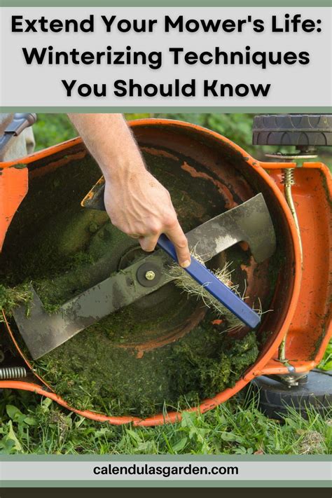 Winterizing Your Lawn in 5 Easy Steps