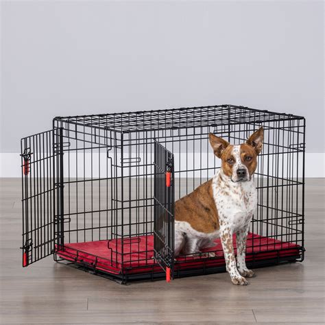 Wired Dog Crates: A Secure and Convenient Haven for Your Canine Companion