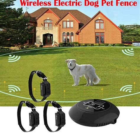 Wireless Dog Fences