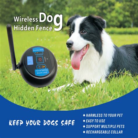 Wireless Invisible Fence for Dogs: 101