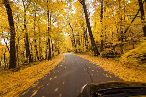 Wisconsin Fall Colors 2024: Witness the Symphony of Nature's Brushstrokes