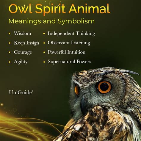 Wisdom and Vigilance: Unveiling the Profound Symbolism of the Owl Helmet