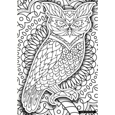 Wise Old Owl A Color Your Cover Journal Kindle Editon