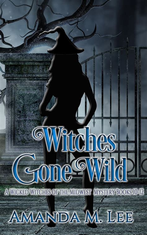 Witches Gone Wild A Wicked Witches of the Midwest Mystery Books 10-12 Doc