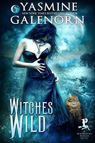 Witches Wild Bewitching Bedlam Volume 4 PDF