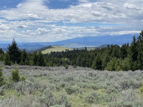 Witness the Untamed Beauty of the Sagebrush Ranch