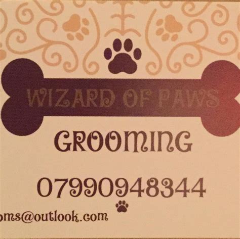 Wizard of Paws: Unleashing the Secrets of Exceptional Pet Grooming