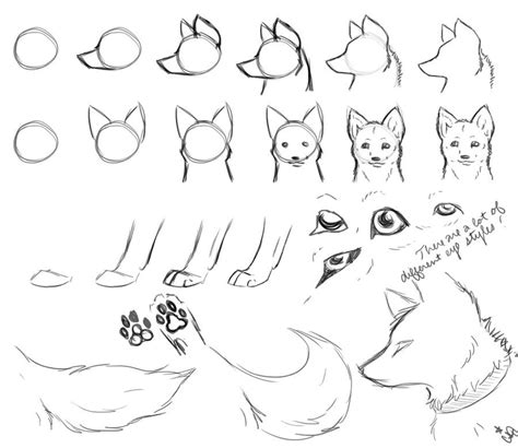 Wolf Cut Drawing Techniques and Styles