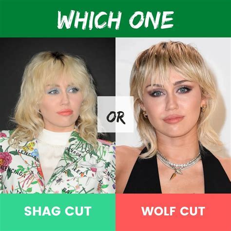 Wolf Cut vs Shag: The Ultimate Showdown of 2023