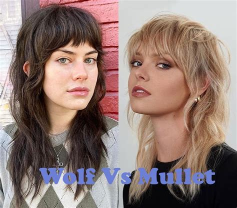 Wolf Cut vs. Mullet: A Comprehensive Guide to Two Edgy Hairstyles