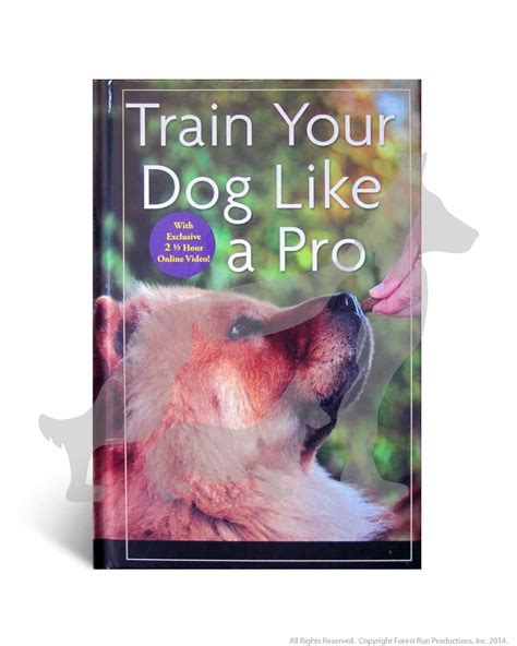 Wolf Guy Zzz: A Comprehensive Guide to Training Your Dog Like a Pro