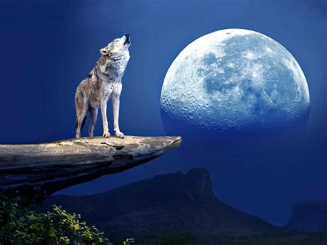 Wolf Moon Kindle Editon