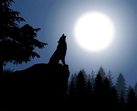 Wolf Moon 2014-2015 5 PDF
