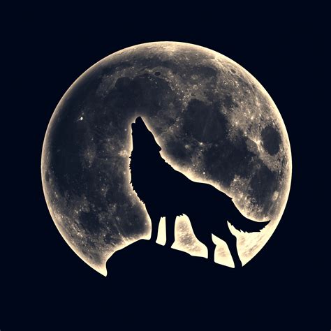 Wolf T-Shirts: A Symbol of Strength, Courage, and Unity from The Mountain