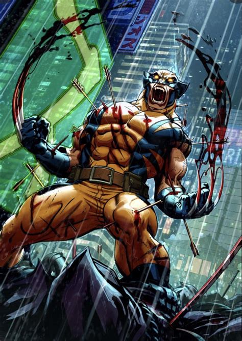 Wolverine vs. Raiden: An Epic Clash of Feral Rage and Technological Prowess