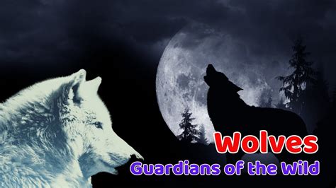 Wolves: Guardians of the Wild