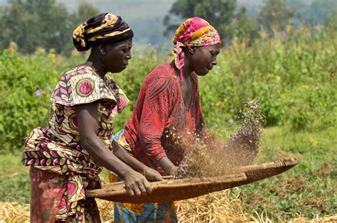 Women and Agricultural Development PDF