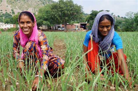 Women in Agricultural Development Doc