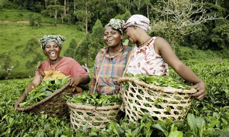 Women in Agriculture Reader