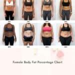 Womens Body Fat Chart