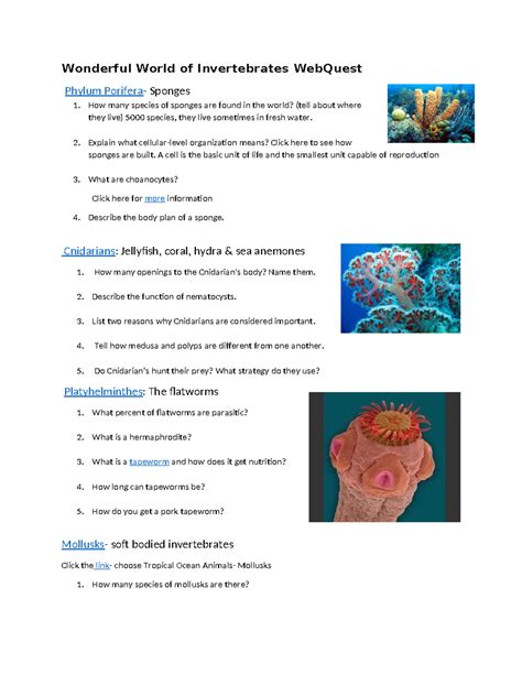 Wonderful World Of Invertebrates Webquest Answer Doc