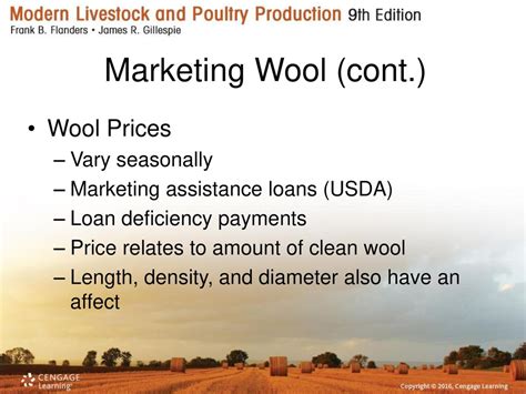 Wool Marketing Doc