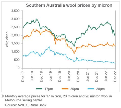 Wool Prices Rise by 50% in 2023