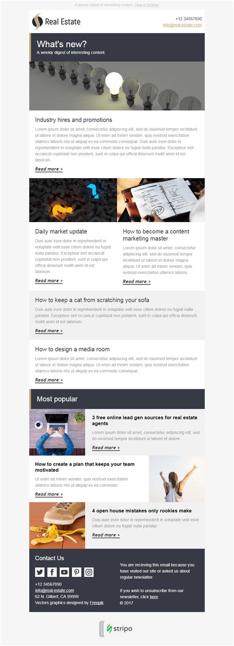 Wordpress Newsletter Template