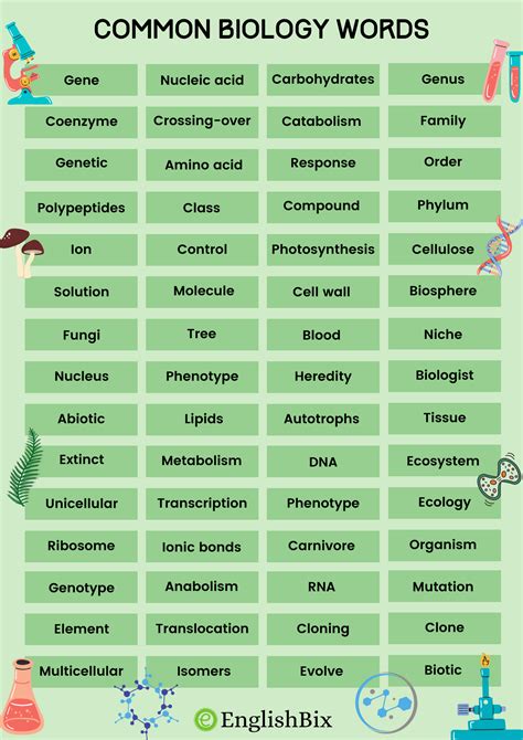 Wordwise Biology Answers Vocabulary Terms Doc