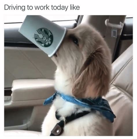 Work Dog Meme: The Perfect Way to Sum Up Your Work Week