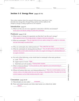 Workbook Section 3 2 Energy Flow Answers PDF