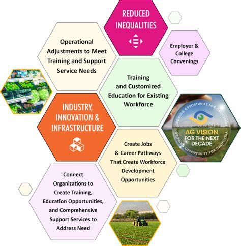 Workforce Development Programs: Tailored to Meet Industry Needs