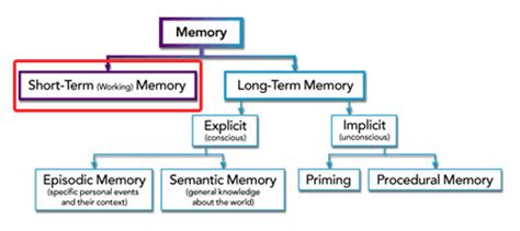 Working Memory: Another Name for Short-Term Memory