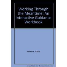 Working Through the Meantime An Interactive Guidance Workbook Doc