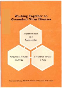 Working Together on Groundnut Virus Diseases Summary and Recommendations of a Meeting of Internation Reader