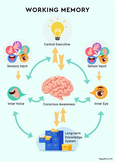Working memory: