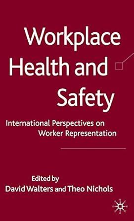 Workplace Health and Safety International Perspectives on Worker Representation Kindle Editon