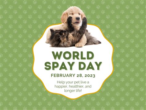 World Spay Day: