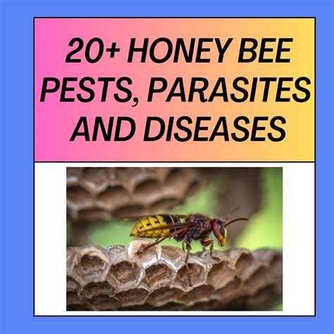 World of Pests and Parasites Doc