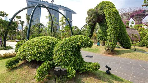 World of Plants: Gardens by the Bay in a Nutshell