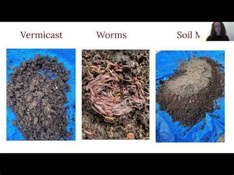 Worm Farming: An Overview