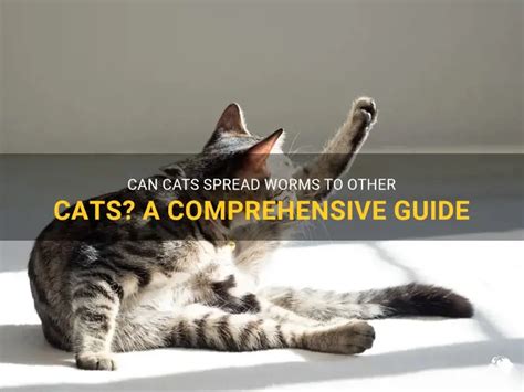 Worms in House Cats: A Comprehensive Guide for Responsible Cat Owners