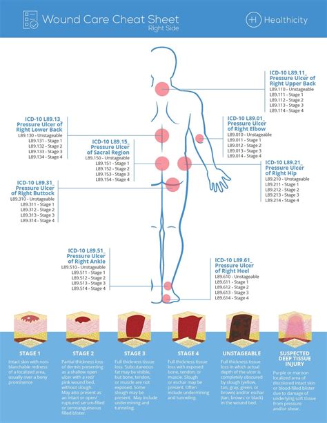 Wound Location Chart