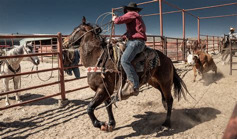 Wranglin' Through the West: A Comprehensive Guide for Modern-Day Cowboys